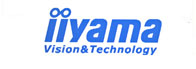 Ремонт мониторов Iiyama
